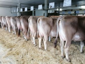 2234d293-a1cf-4afc-8a3c-cd940ca77f2a